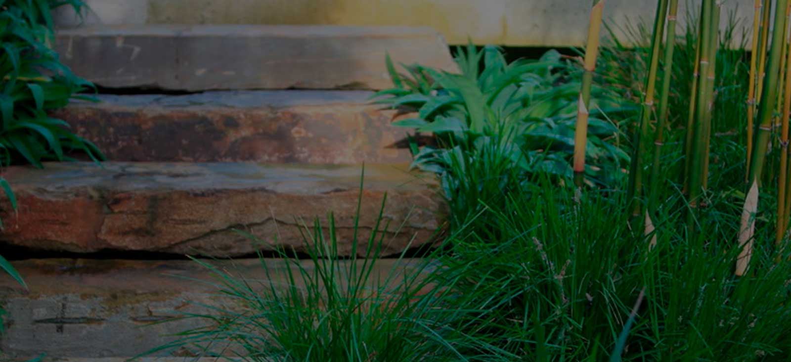 Landscaping Projects